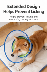Breathable Dog Recovery Cone