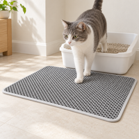 Cat stepping onto the elegant gray litter mat