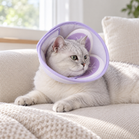 Cat resting at home in the lavender recovery collar
