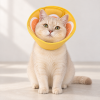 Cat wearing yellow soft recovery collar