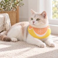 Cat wearing yellow recovery collar in reverse orientation