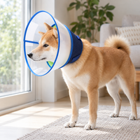 Dog wearing the recovery cone in a bright home